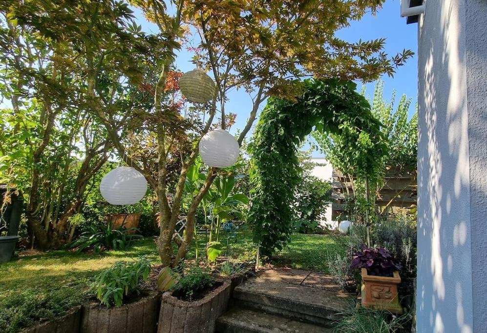 Ulli'S Oase Apartment Uettingen ภายนอก รูปภาพ